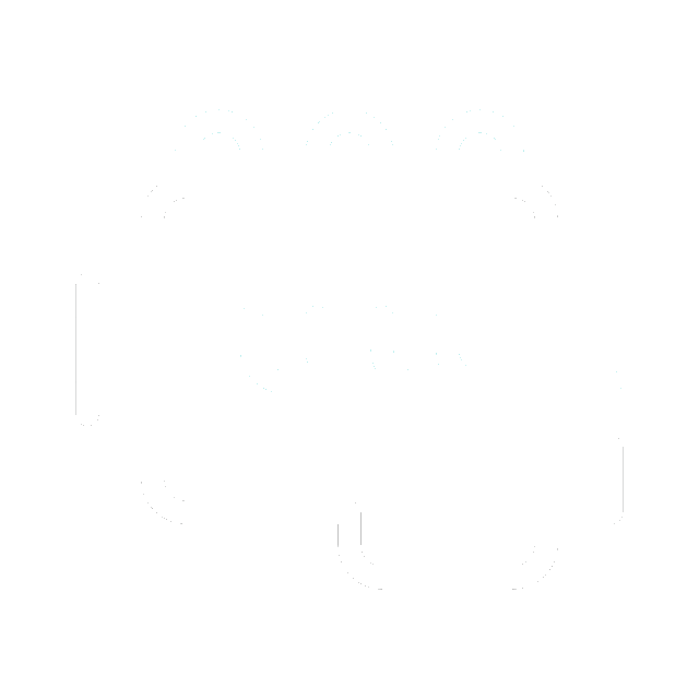 Engine Care & Performance