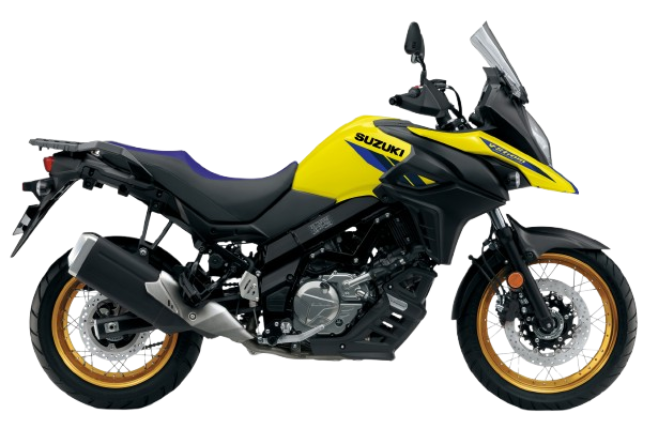 Champion Yellow No.2